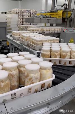 智慧赋能，科技增效——食用菌智慧工厂化生产关键技术研发及产业化项目现场调研侧记