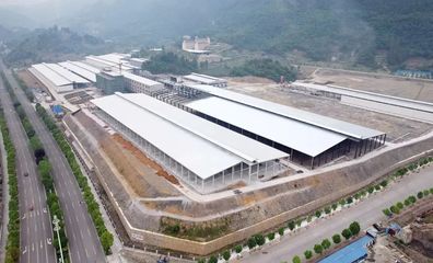 道真小蘑菇 科技赋能食用菌研发，鲜香直达二十余省市民餐桌