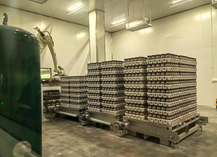 浙江华实食用菌工厂化项目投产 年产25000吨金针菇引领行业新标杆