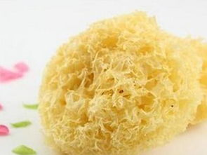 福建古田食用菌特产 银耳